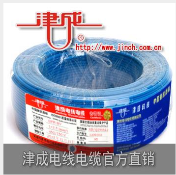 ZR-BV 10平方 低卤阻燃聚氯乙烯绝缘电线