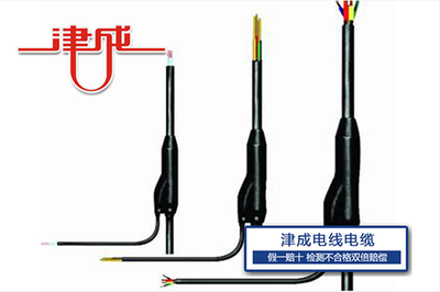 分支电缆