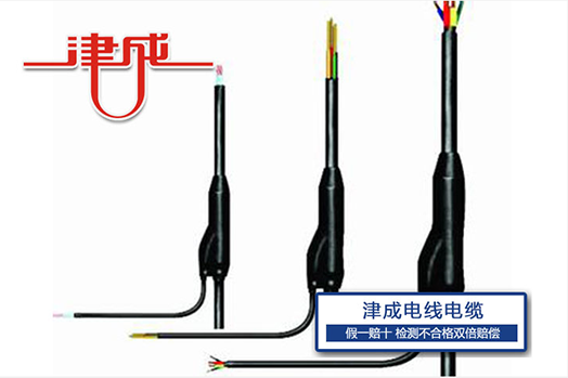 分支电缆
