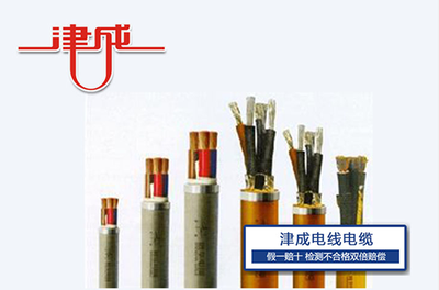 特种电缆