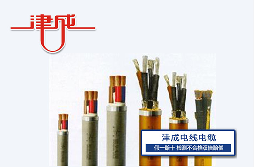 特种电缆